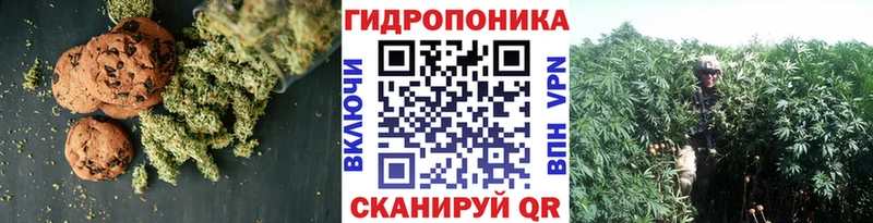 Cannafood конопля  Иноземцево 