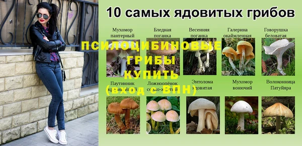 соль курить ск Михайлов