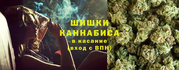 твердый Михайловск