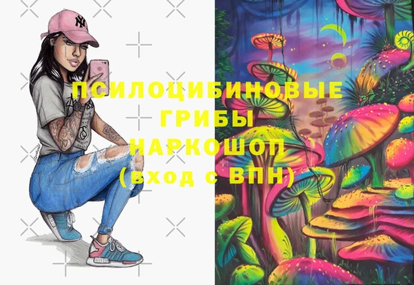 твердый Михайловск